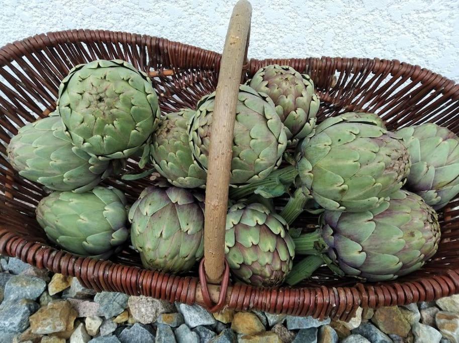 Gite La Grangette De Pauline Mercus-Garrabet Luaran gambar