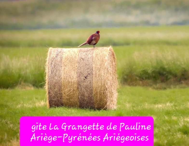 Gite La Grangette De Pauline Mercus-Garrabet Luaran gambar